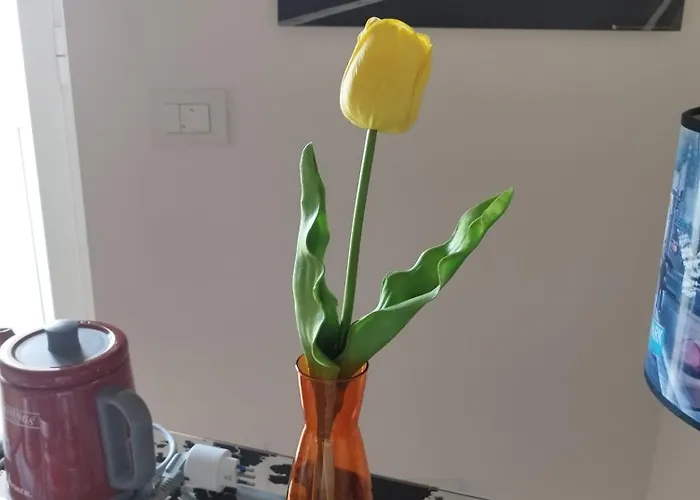 レジデンツァ ピアッツァ モロ 3*